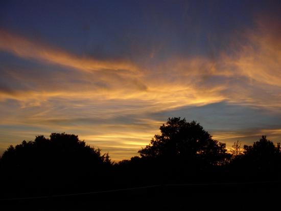 DSCN0953.JPG