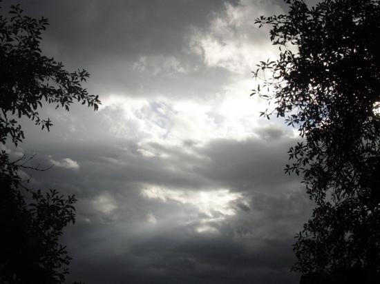 dscn2665.jpg