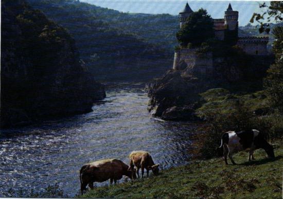 chatovaches.jpg
