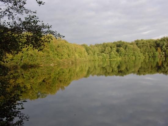 dscn4235.jpg