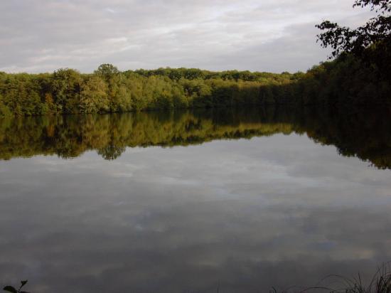 dscn4238.jpg
