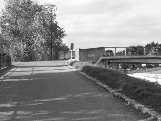 DSCN1099.JPG