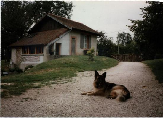 chaletchien.jpg